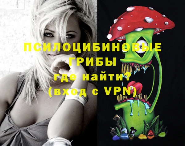 ешки Бронницы