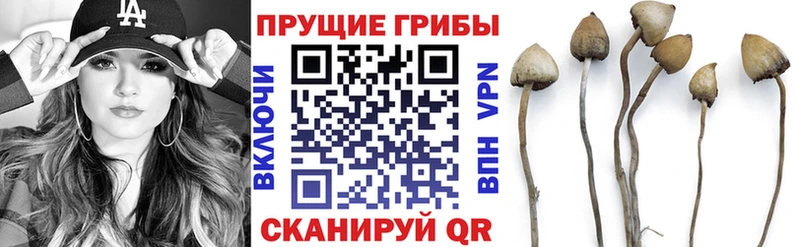 Псилоцибиновые грибы MAGIC MUSHROOMS  Дятьково 